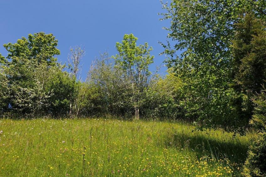 Chalet Traumfleck - foto 21