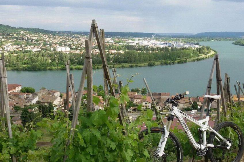 Die Ufer der Rhone - foto 18