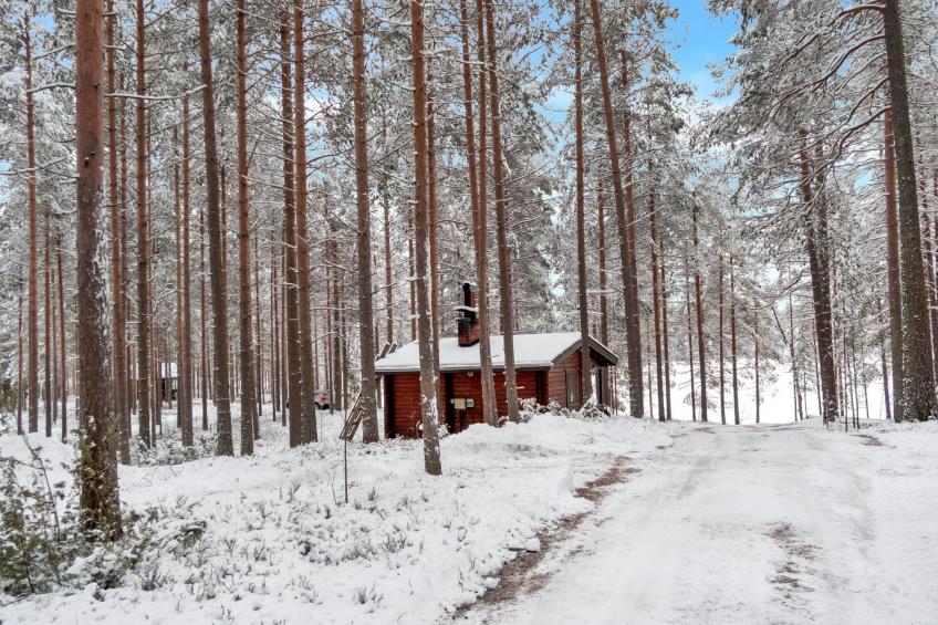 Välikosken puolukka - foto 19