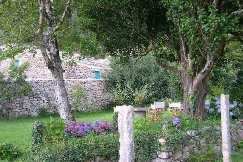 NATUR IN IHRER REINSTEN FORM - foto 16