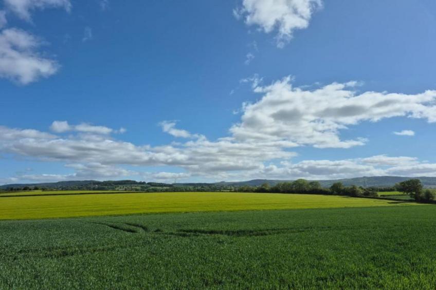 Ryedale Hall Cottage - foto 24