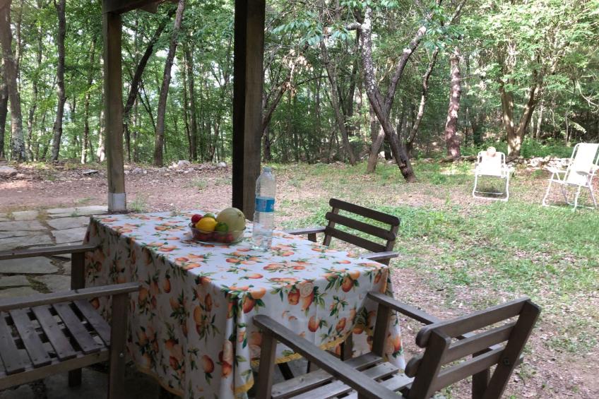 Kirschbäume, eine Oase im Wald zwischen Meer und Natur - foto 38