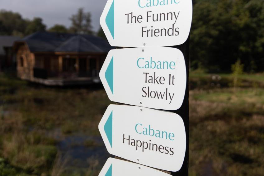 Cabane The Early Birds - foto 28