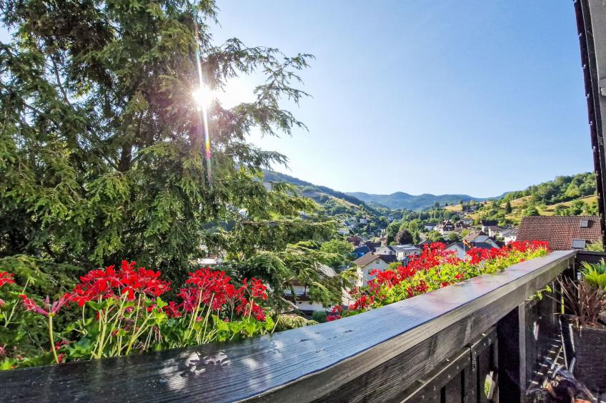 Schwarzwald Königin - foto 6