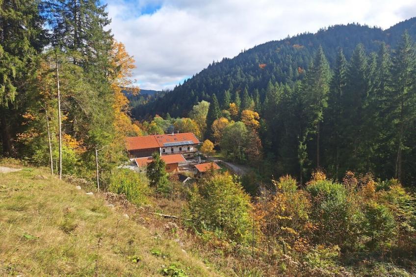 179632 - foto 4
