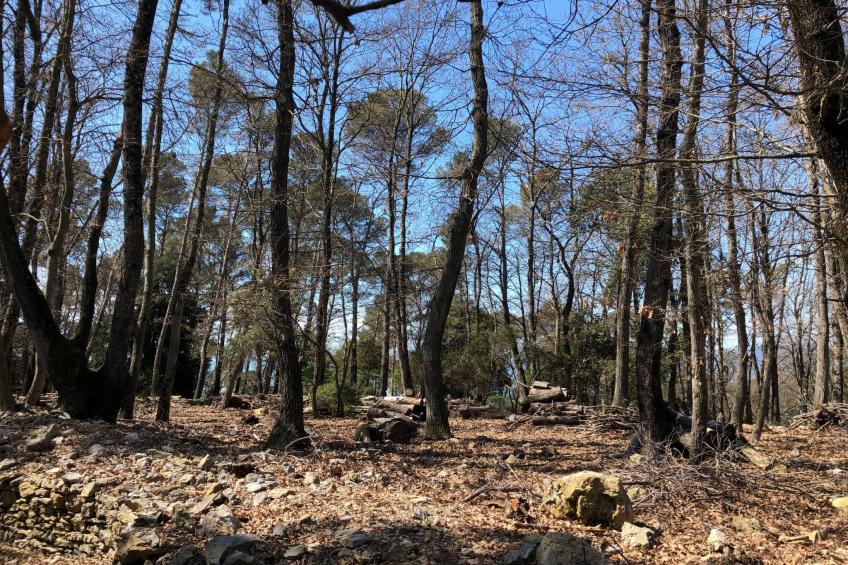 Mago in Ameglia - foto 12