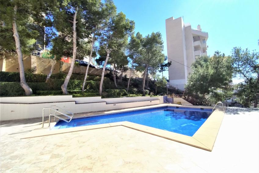 Cala Blanca - foto 29