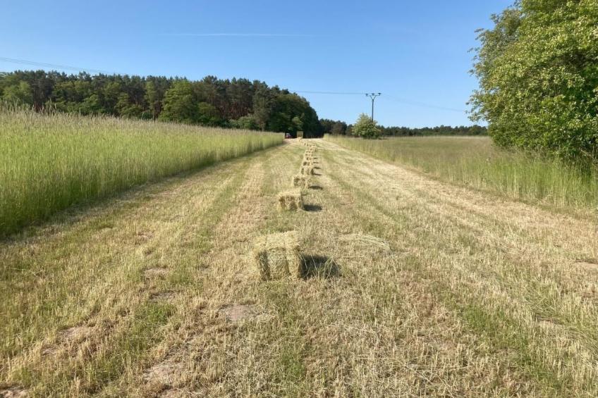 Bungalow Mecklenburgische Seenplatte - foto 32