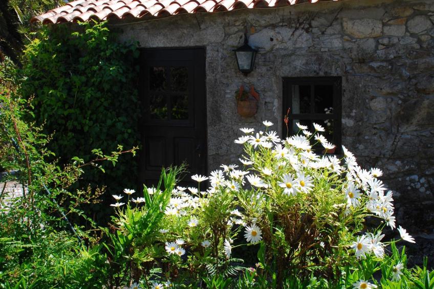 Kleines Ferienhaus mit Terrasse und Parkplatz - foto 17