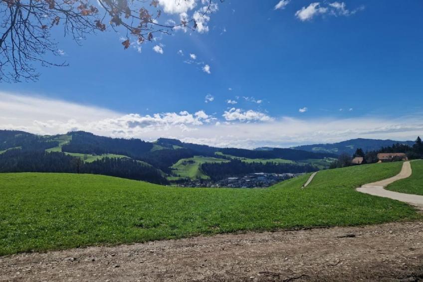 Emmental Ferien - foto 34