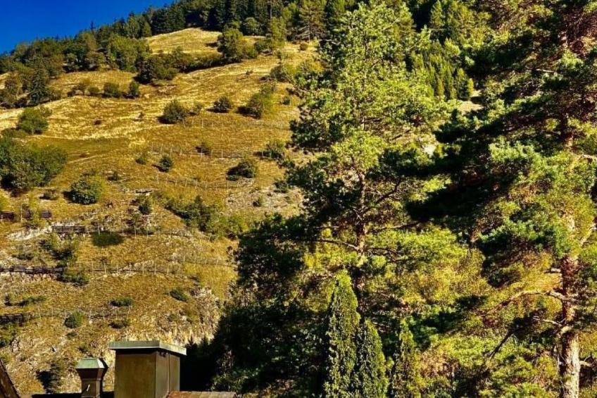 Chalet Kristall - foto 40