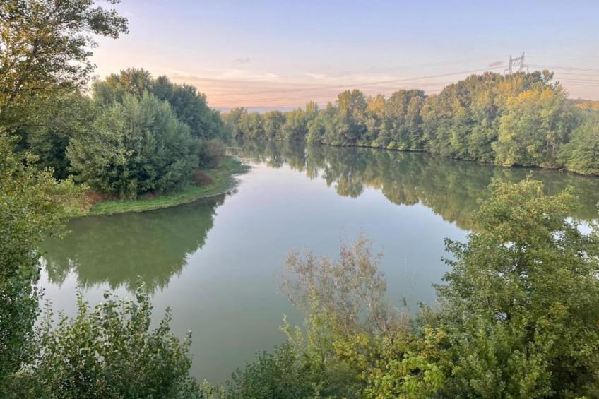 Mas La Cigalière - foto 32