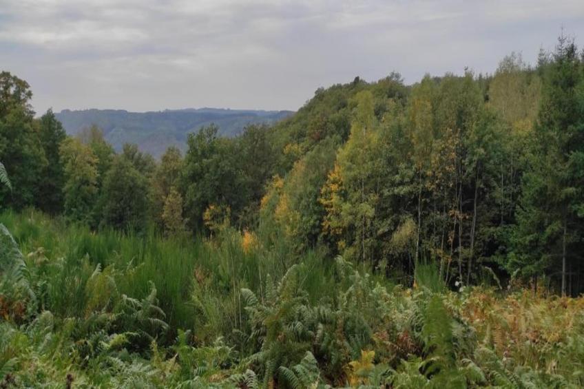 Le Meheret - foto 40