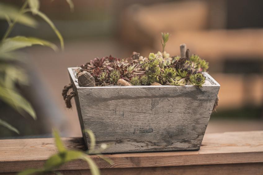 Haus für 22 Personen mit Außensauna und HotTub - foto 21