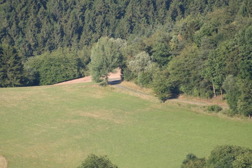 18568 - foto 12