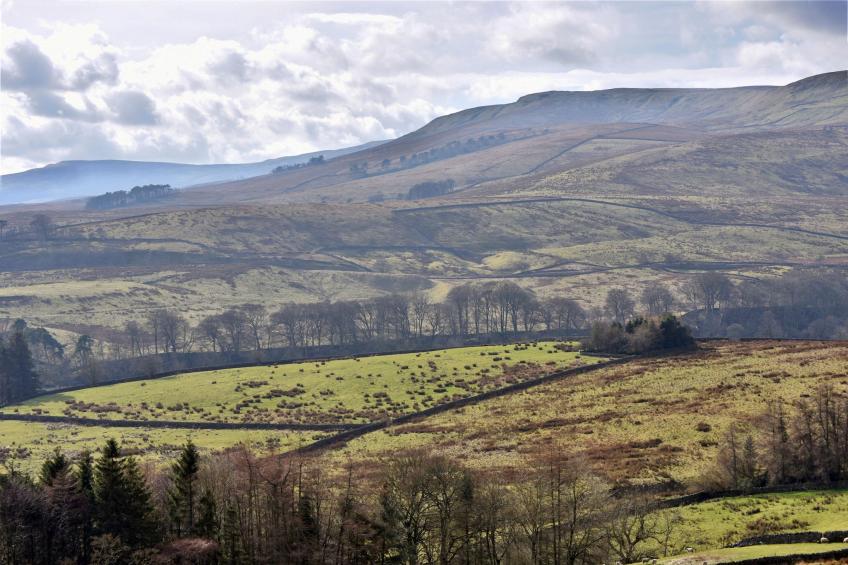 Dales Barn Top - foto 25
