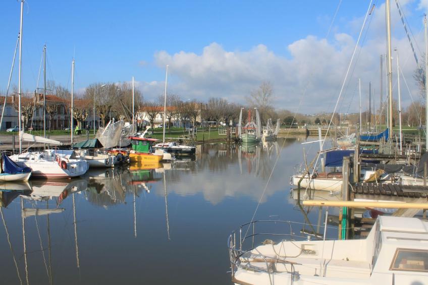 Lindenblau - foto 14