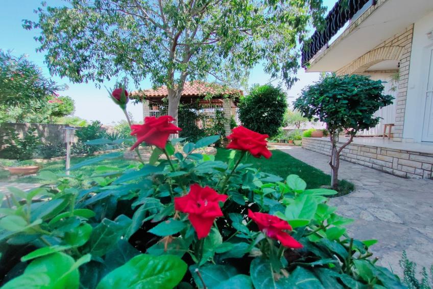 Apartments Snježana Carev  - Studio Apartment with Terrace A-1 - foto 13