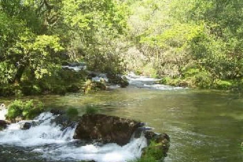 Finca "Casa do Portomartiño" - foto 12