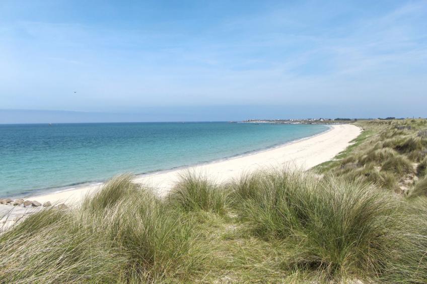 Das Dolmengebäude Clara - foto 87