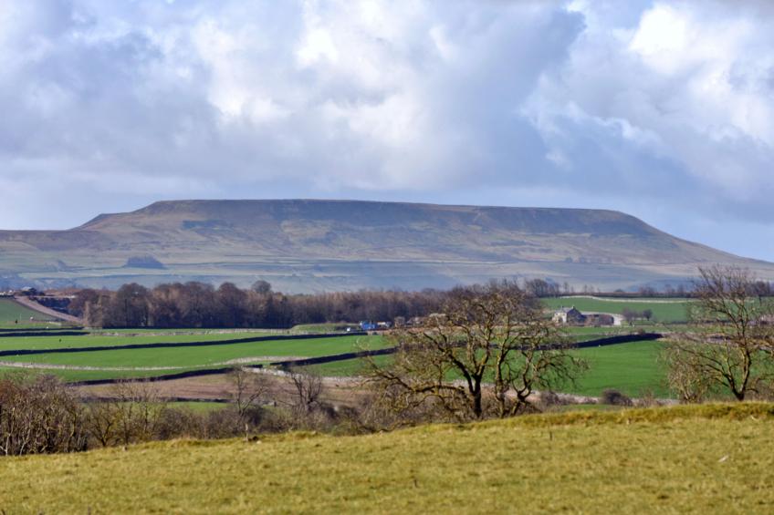 Stable Cottage - foto 3