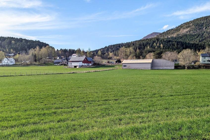 29672-FEDHEIM - foto 6