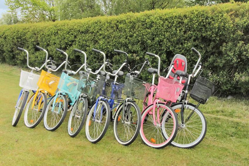 "Aamunde" - 100m from the sea in Lolland, Falster and Mon - foto 11