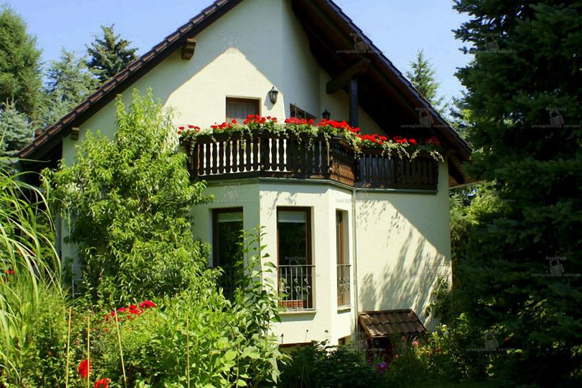 Fewo Ginkgo II - foto 18