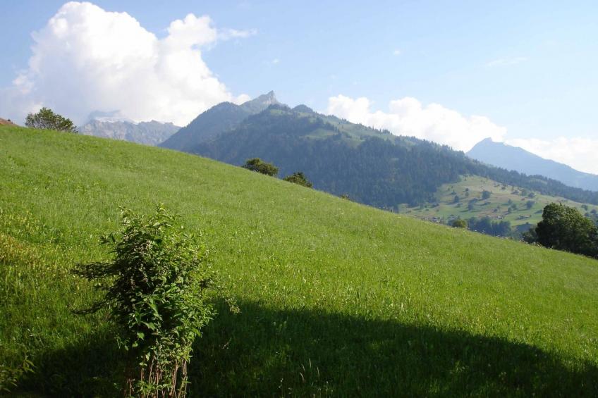 Chalet Wenger Appartement/Fewo, Dusche und Bad, WC, Balkon - foto 5