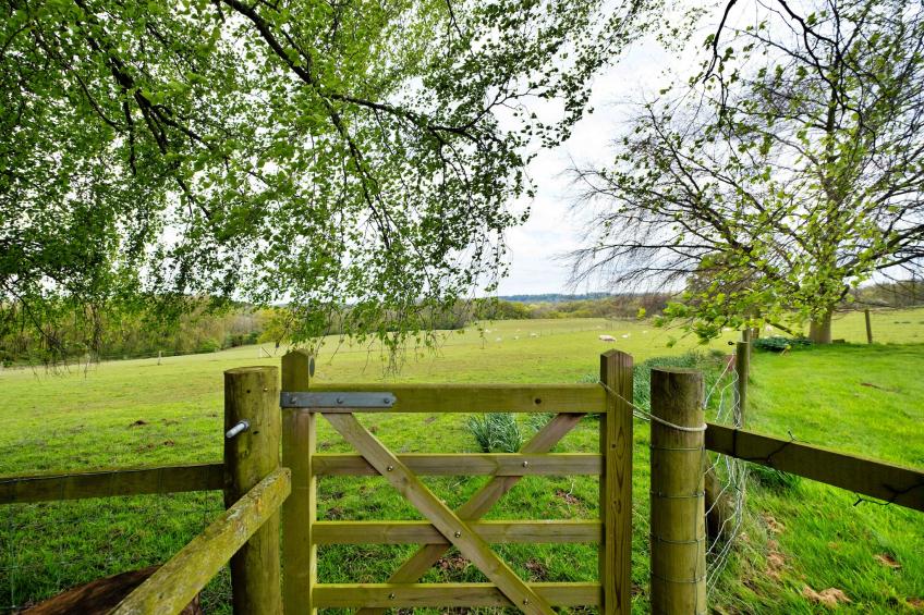 Hay and Hedgerow Glamping - foto 20