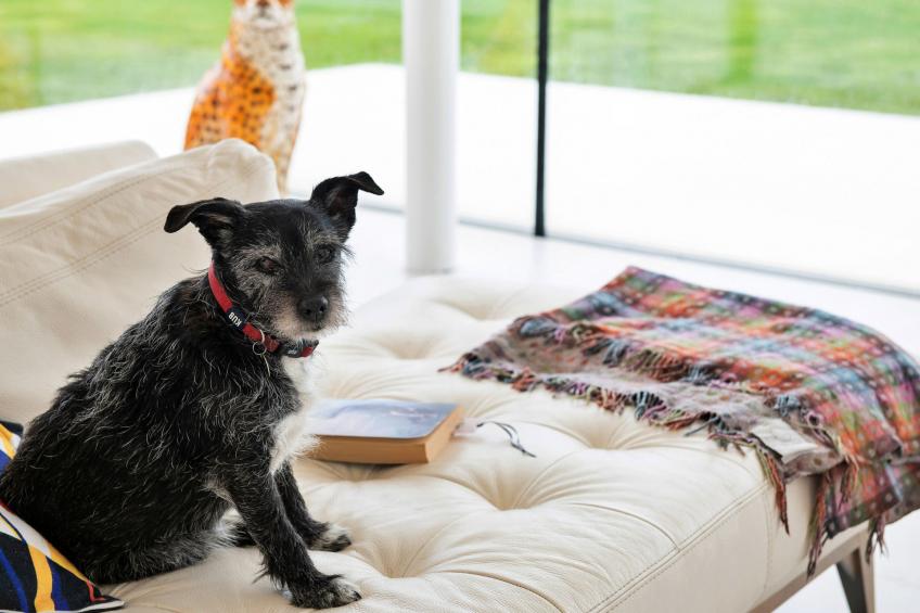 Cefn Castell - foto 32