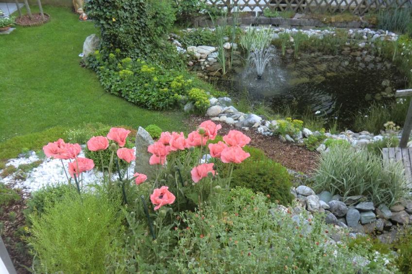 Rosengarten - foto 14