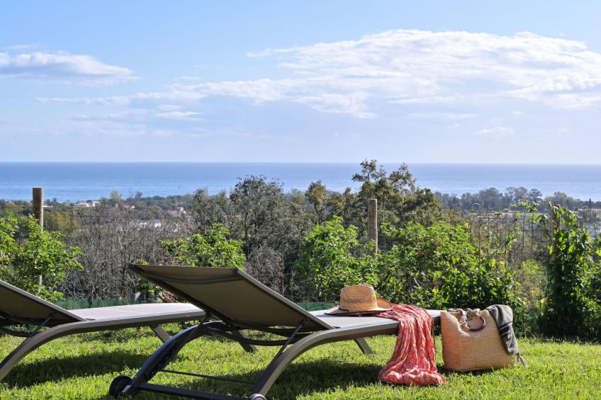 Weingut Punta della Guardia Panorama von Macchia und Meer