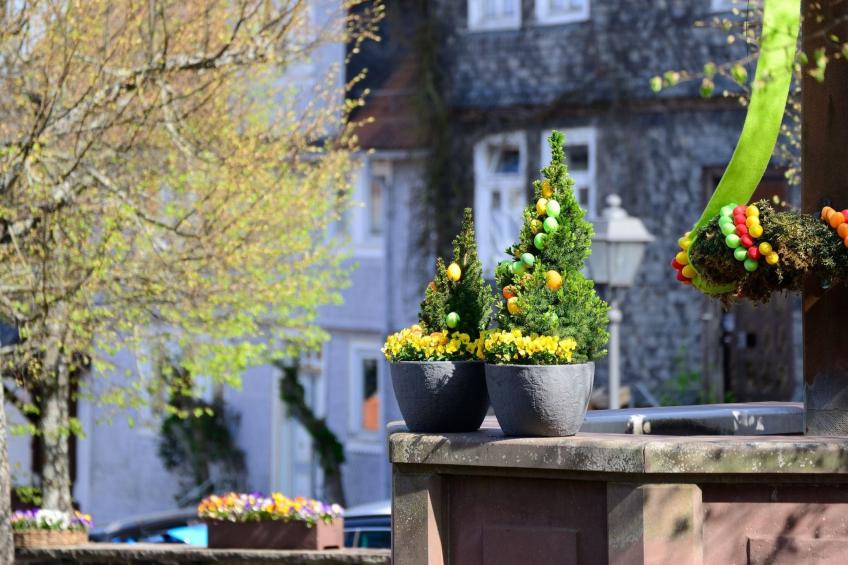 Amöneburg in Amöneburg - foto 28