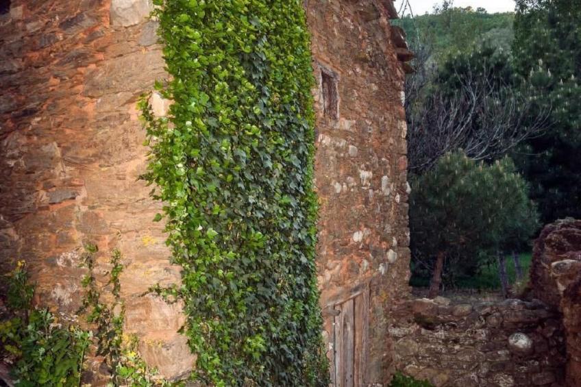 Rural House in the mountain of León - foto 19