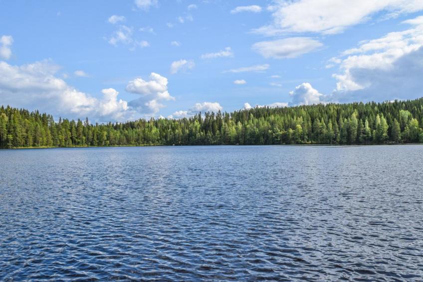 Herrankukkaro - foto 24