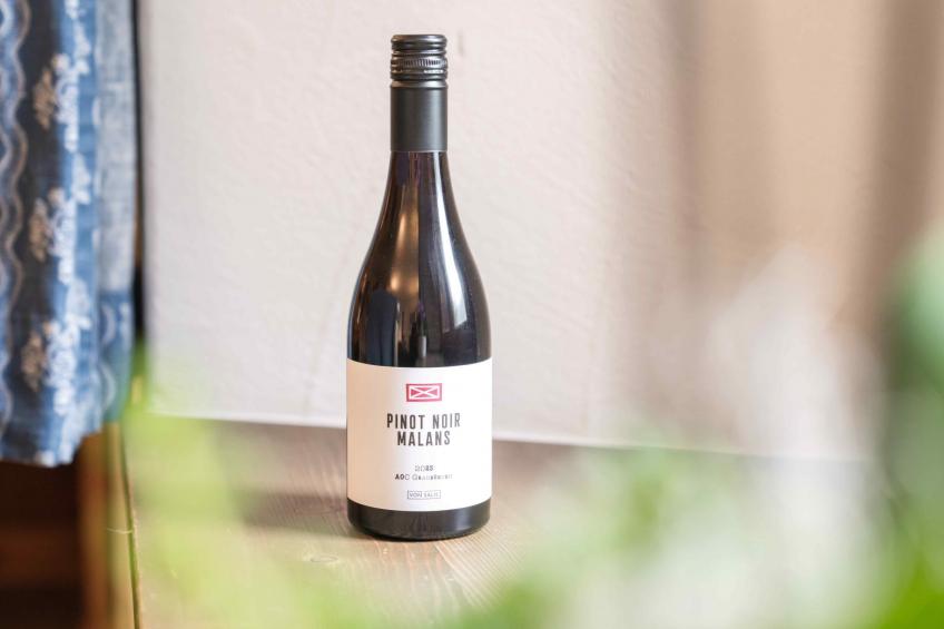 Chesa Michel Nair - foto 11