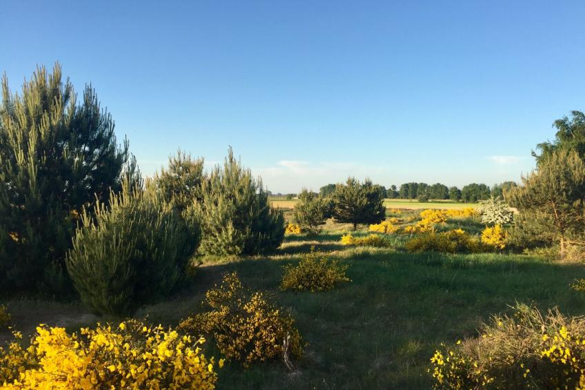 Wiesenblick 2 - foto 13