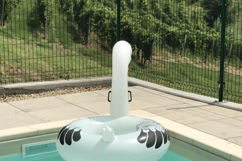 mit privatem Pool, AC und Weinkeller - foto 31