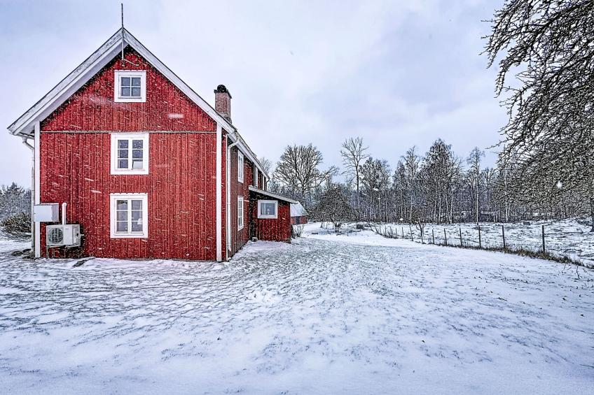 Piggsmåla