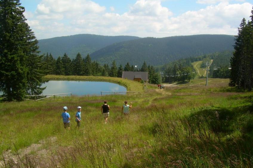 Wohnung Rozika - foto 29