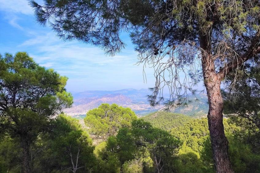 Domicilio de Vida - foto 50