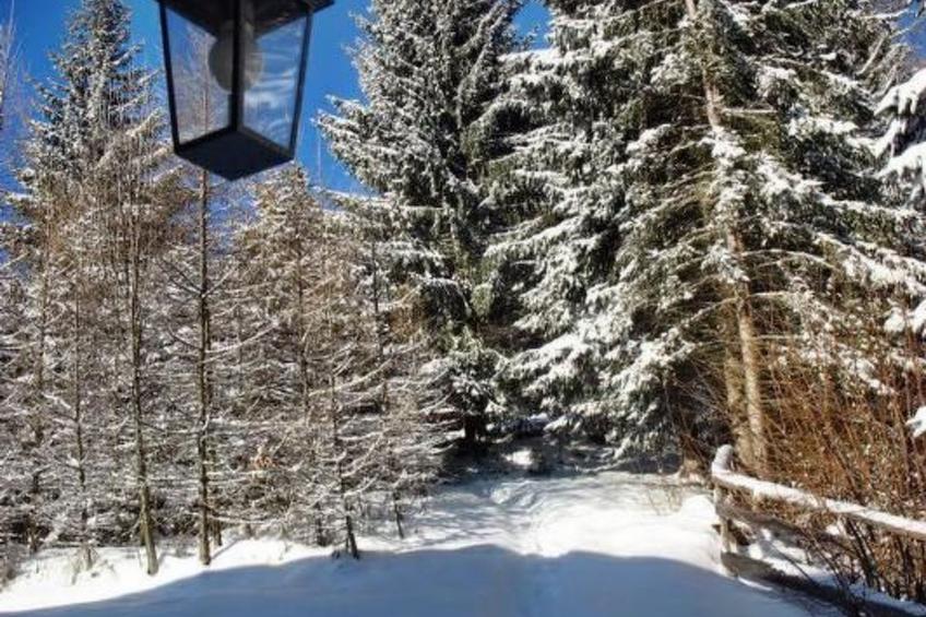 in Gnesau mit Grill - foto 13