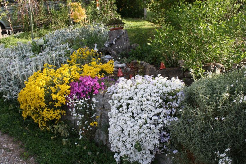 Kleine Fewo - foto 21