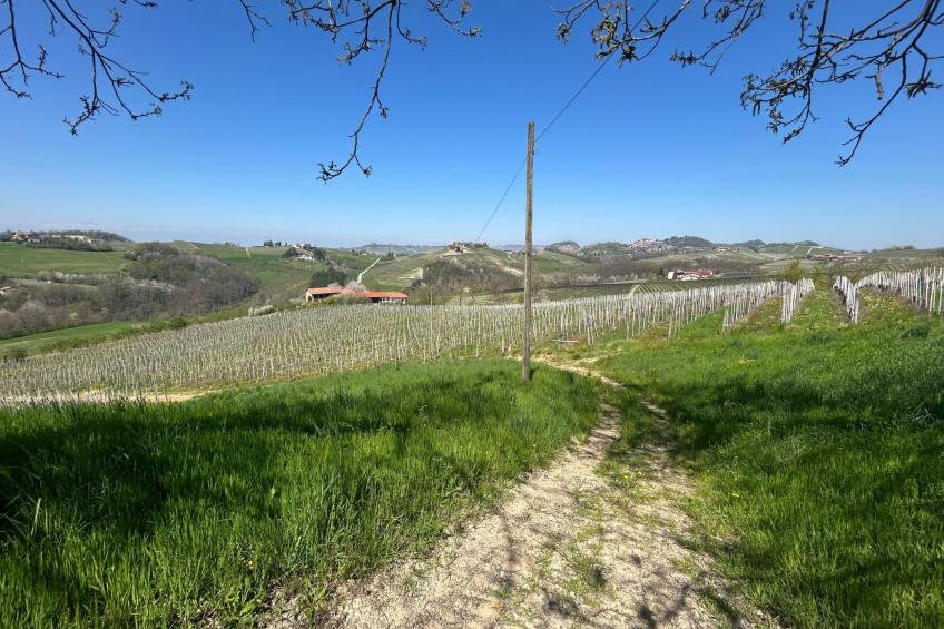 Casa il Cuore delle Langhe bei Holiday World - foto 13