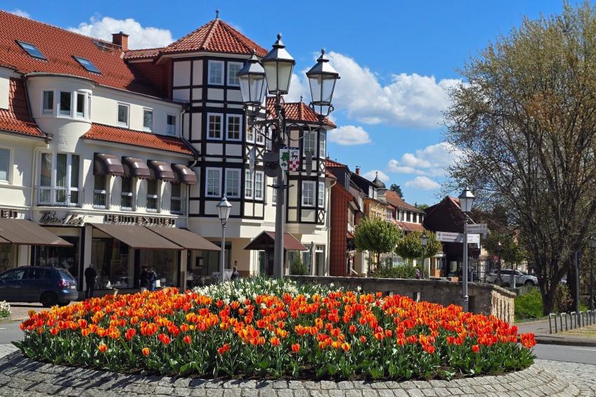 WALDLIEBE ♡ - foto 26