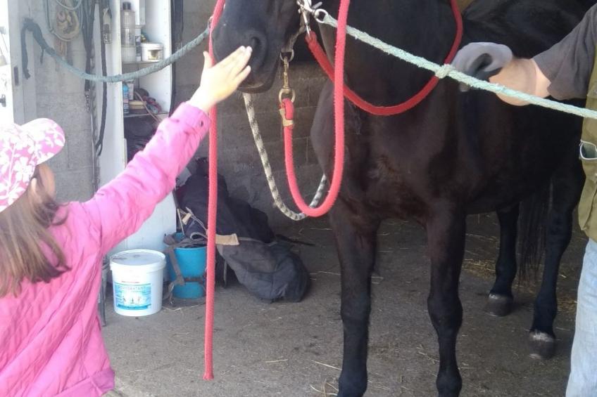 Das Landgut "Corte Canale Virgilio" mit Balkon - foto 31