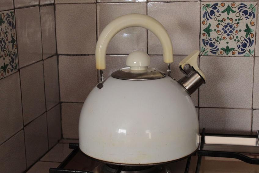 "Daphne Experience". - foto 27