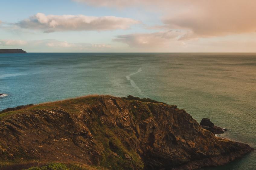 Dingles Cottage - foto 24