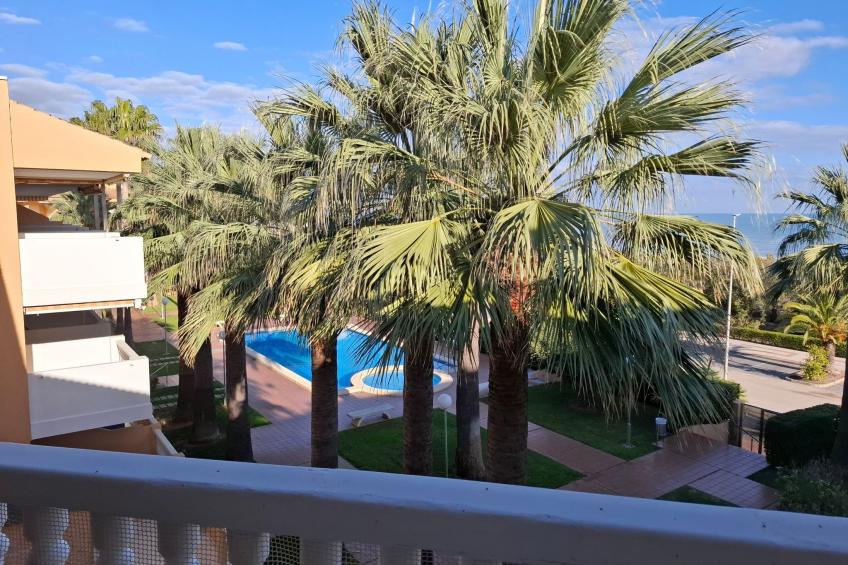 Wohnung Stella, 1. Reihe Meerblick und Palmen